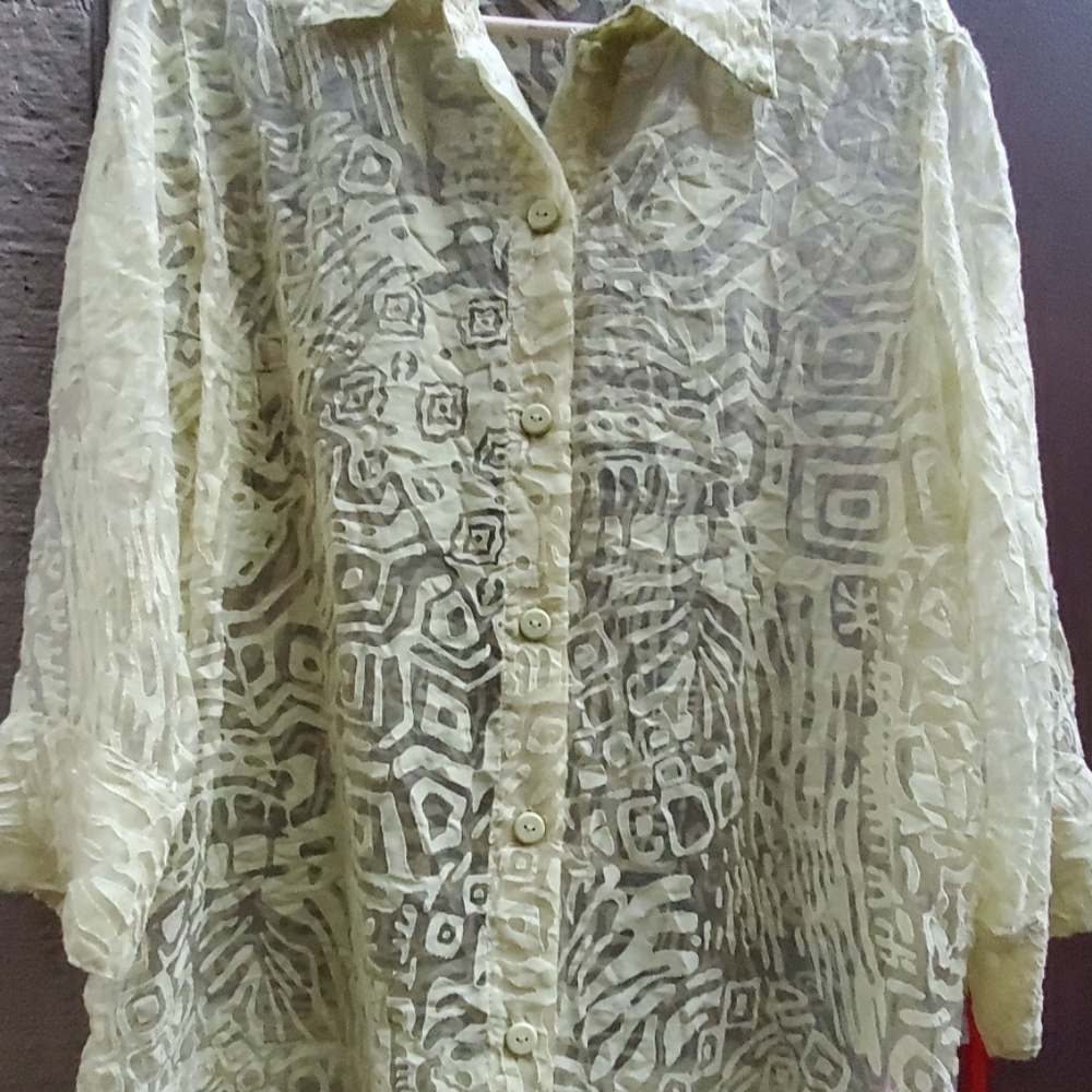 Ruby Rd. See thru Blouse - Picture 3 of 3
